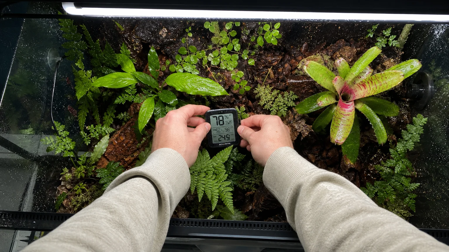 Close-up of a person's hands checking the humidity and temperature inside a lushly planted reptile terrarium.